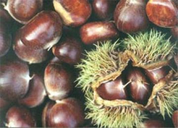 Chestnut